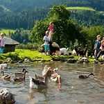 Hotel Alpenrose 3*