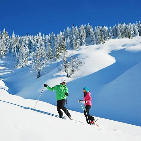 Отель Alpenrose 3*