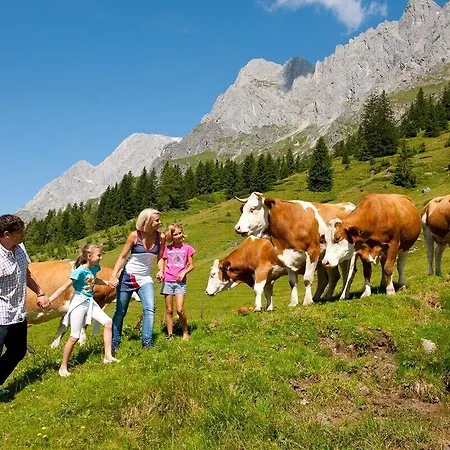 Alpenrose