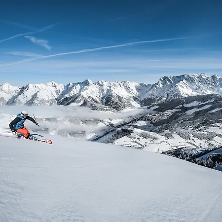 Alpenrose Отель