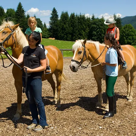 Alpenrose Мюльбах-ам-Хохкёниг