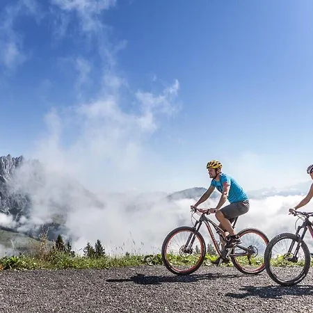 Отель Alpenrose Мюльбах-ам-Хохкёниг