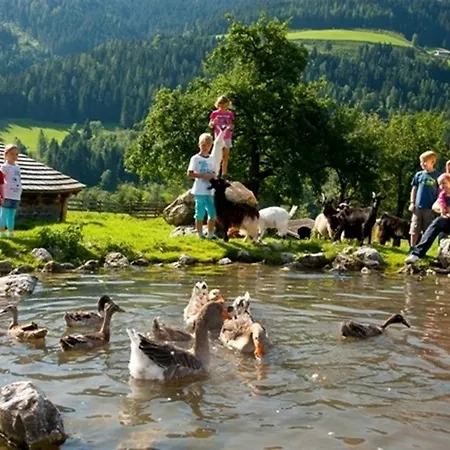 Отель Alpenrose 3*