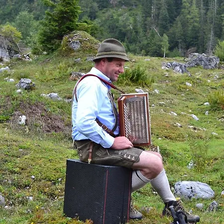 Отель Alpenrose 3*