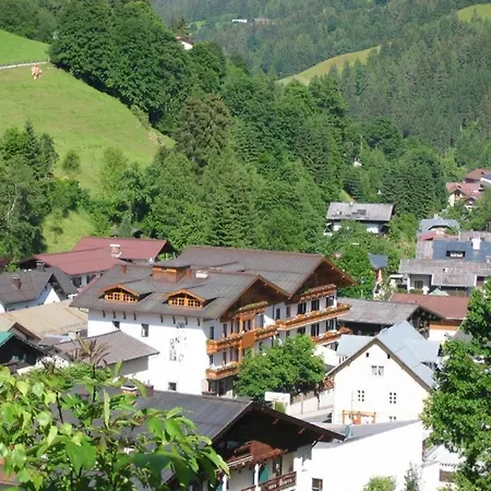 Hotell Alpenrose 3*