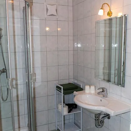 Отель Alpenrose 3*